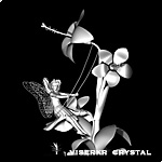 3Dクリスタル 花の妖精 写真版